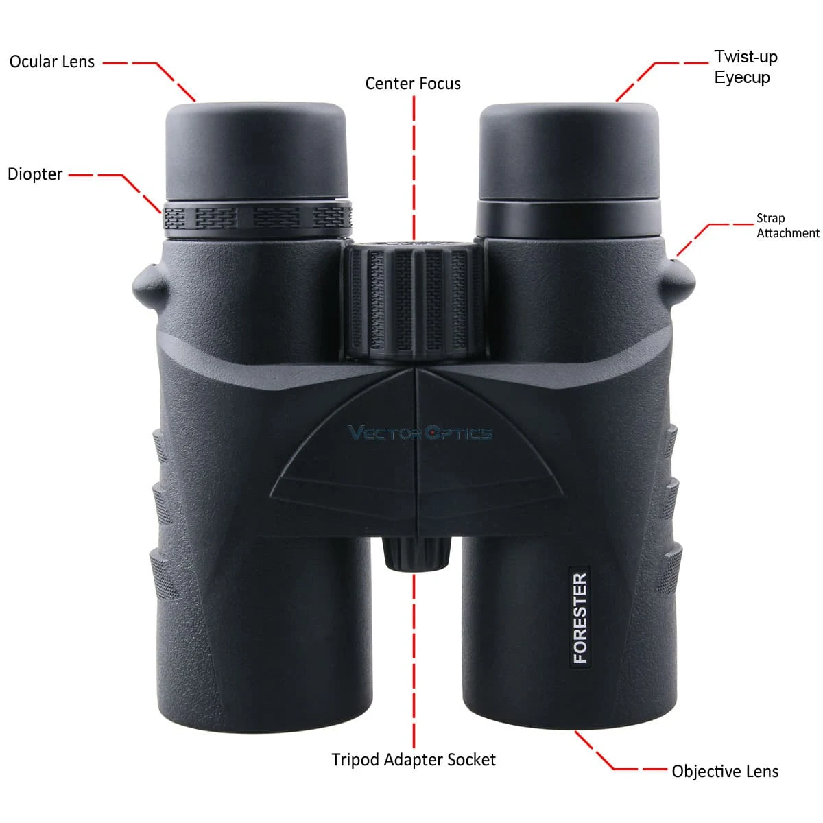 Forester 8x42 Binocular-Vector Optics - Practical Solutions in 