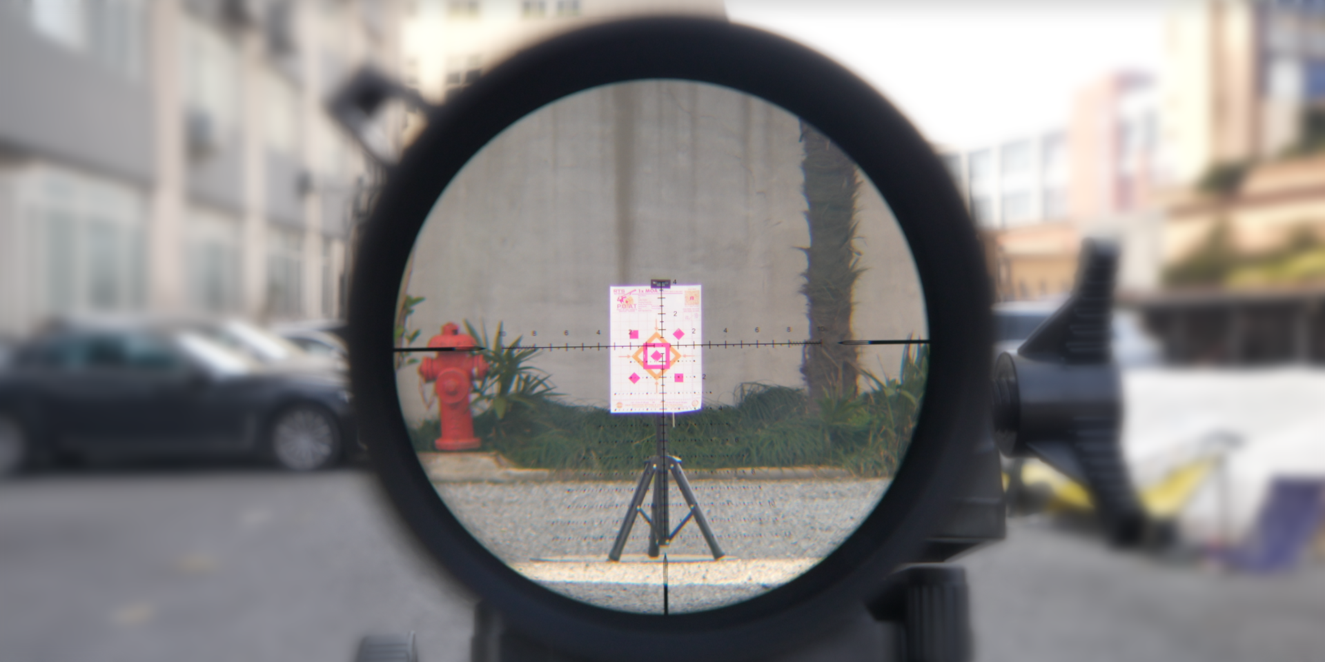 Actual Picture 5.png