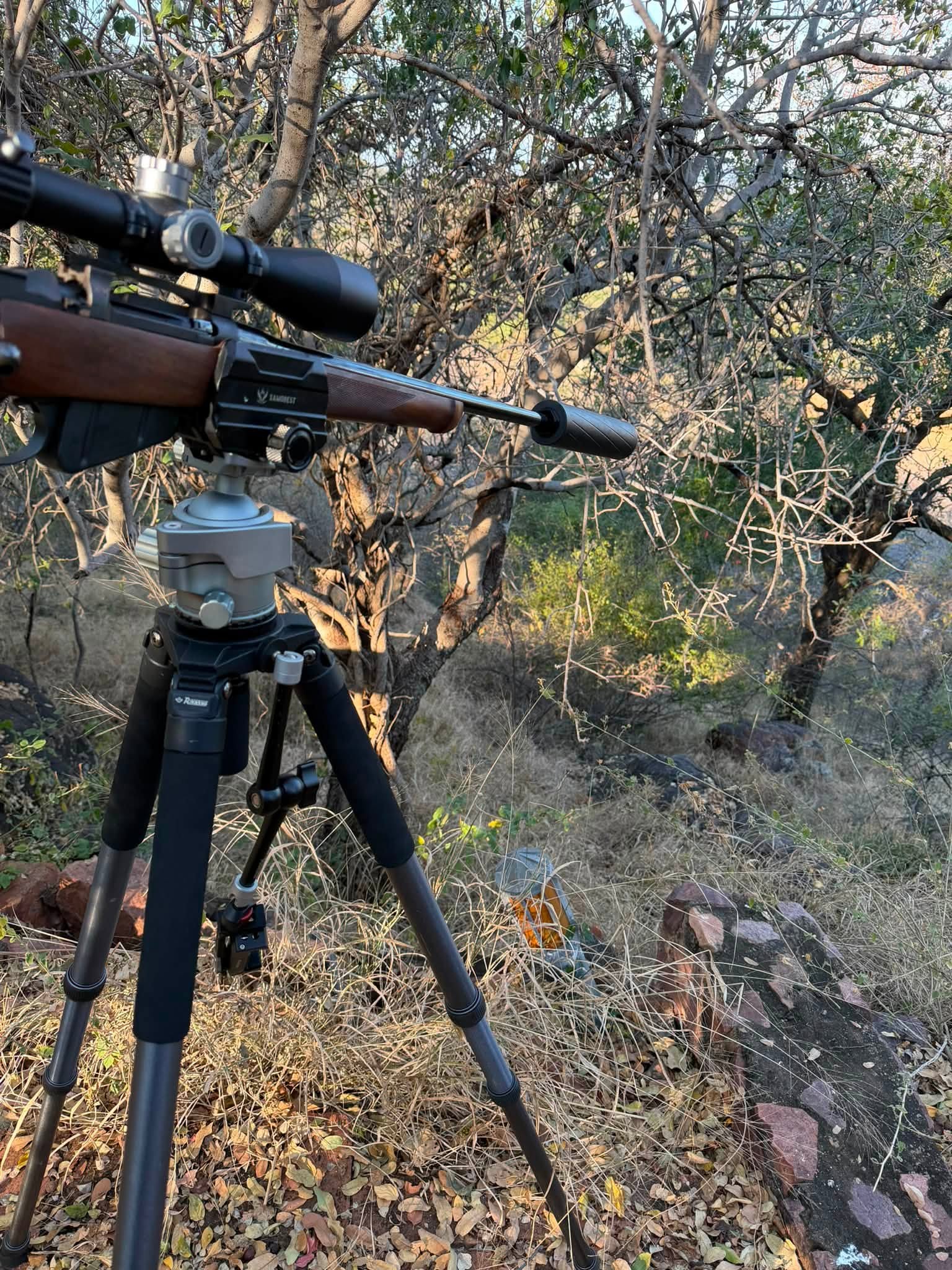 Close-up of the RoKstad 55mm Quick Stop Ball Head (RSRH-03) on the RokStad FLA Aluminum Shooting Tripod (RSAL-T01) from a shooting position