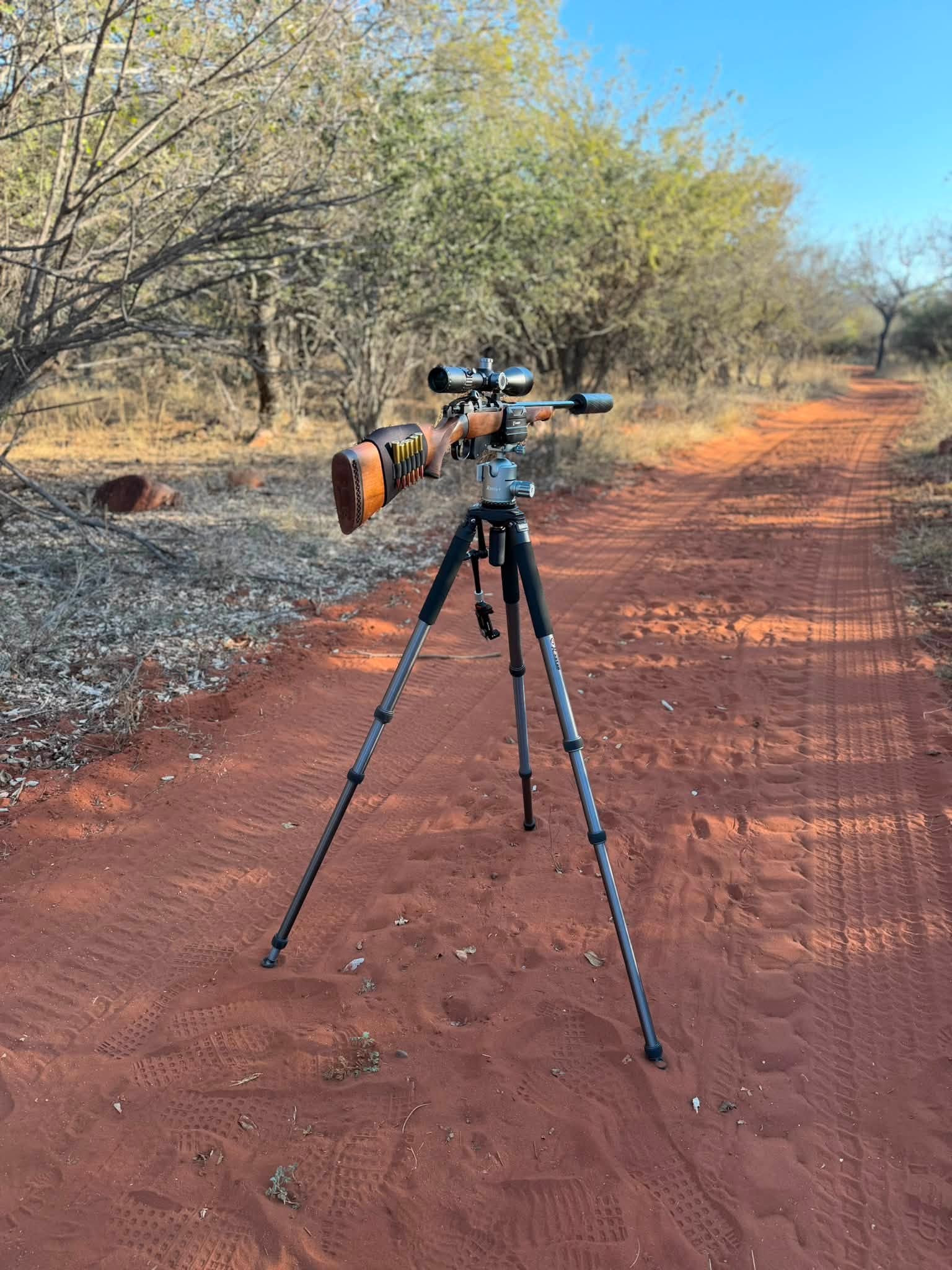RokStad FLA Aluminum Shooting Tripod (RSAL-T01) set up on a bush road with the RoKstad 55mm Quick Stop Ball Head (RSRH-03)