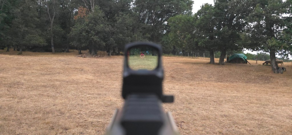 Multi Reticle circle-and-dot presentation seen through the window (view 4) Multi Reticle circle-and-dot presentation seen through the window (view 4)