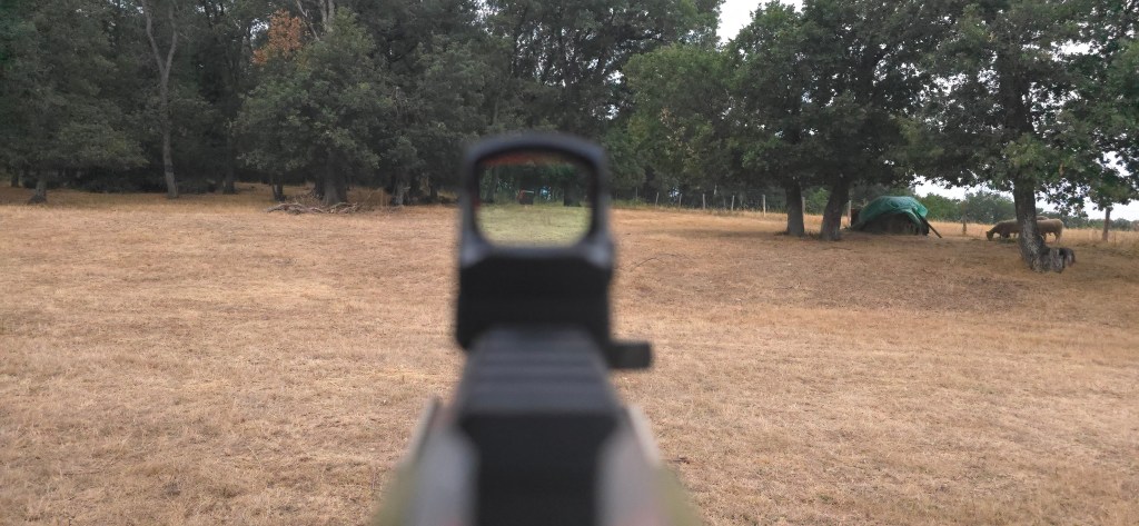 Multi Reticle circle-and-dot presentation seen through the window (view 3) Multi Reticle circle-and-dot presentation seen through the window (view 3)