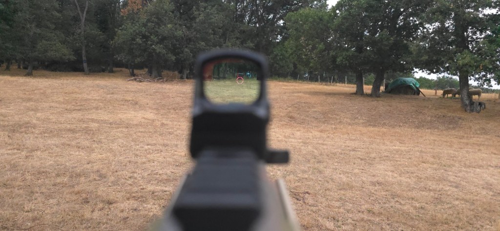 Multi Reticle circle-and-dot presentation seen through the window (view 2) Multi Reticle circle-and-dot presentation seen through the window (view 2)