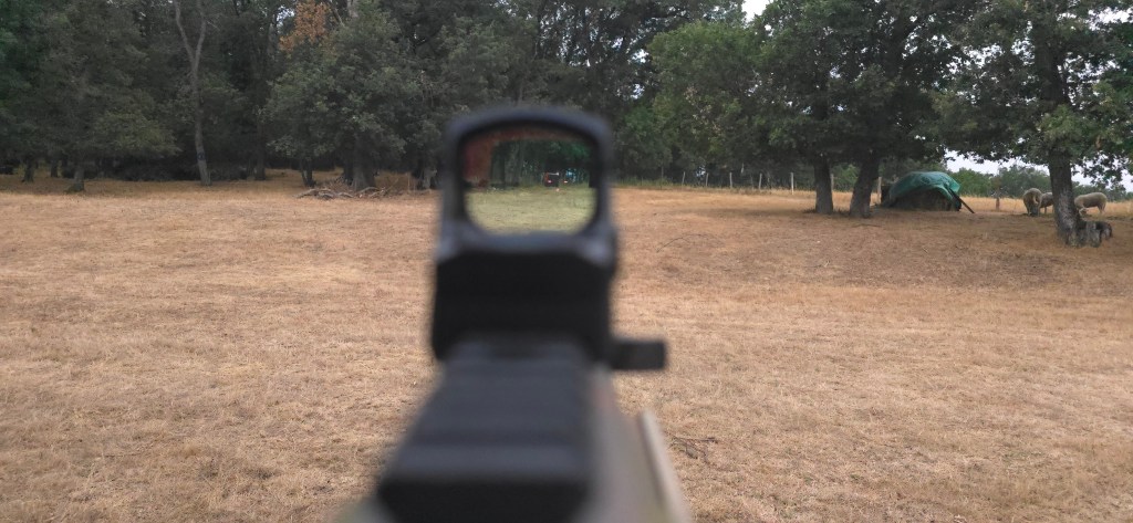 Multi Reticle circle-and-dot presentation seen through the window (view 1) Multi Reticle circle-and-dot presentation seen through the window (view 1)