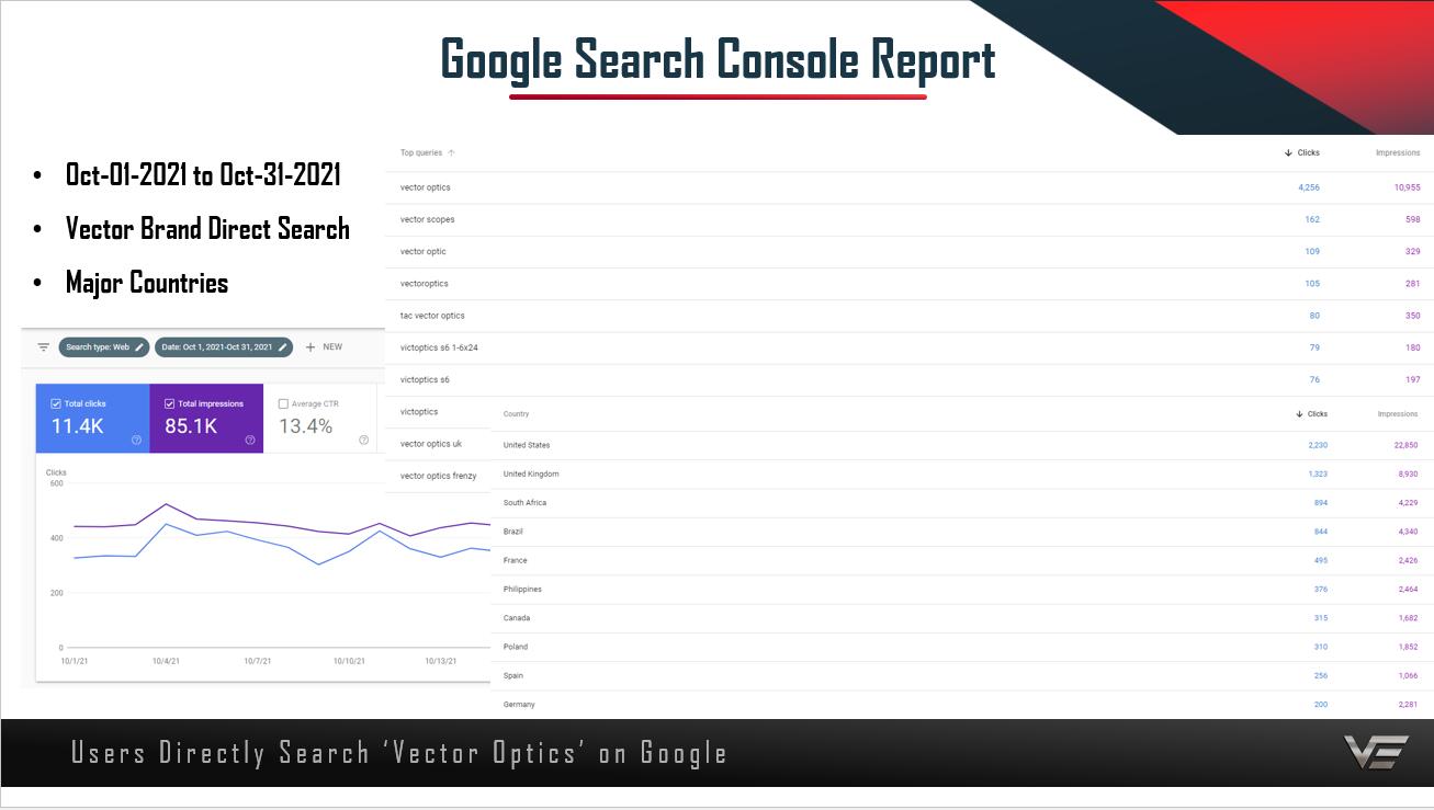 The Google Console Report of VE Homepage.jpg